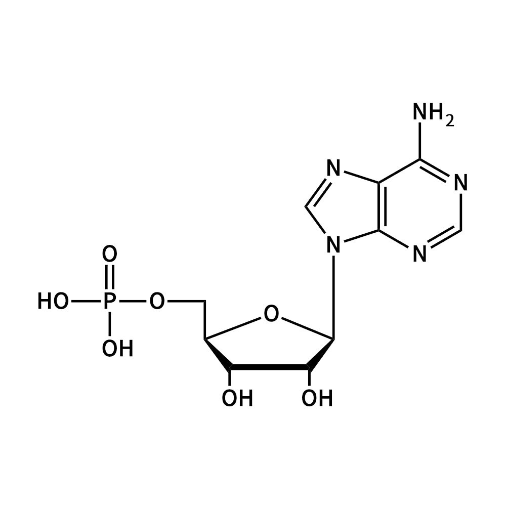 腺苷酸