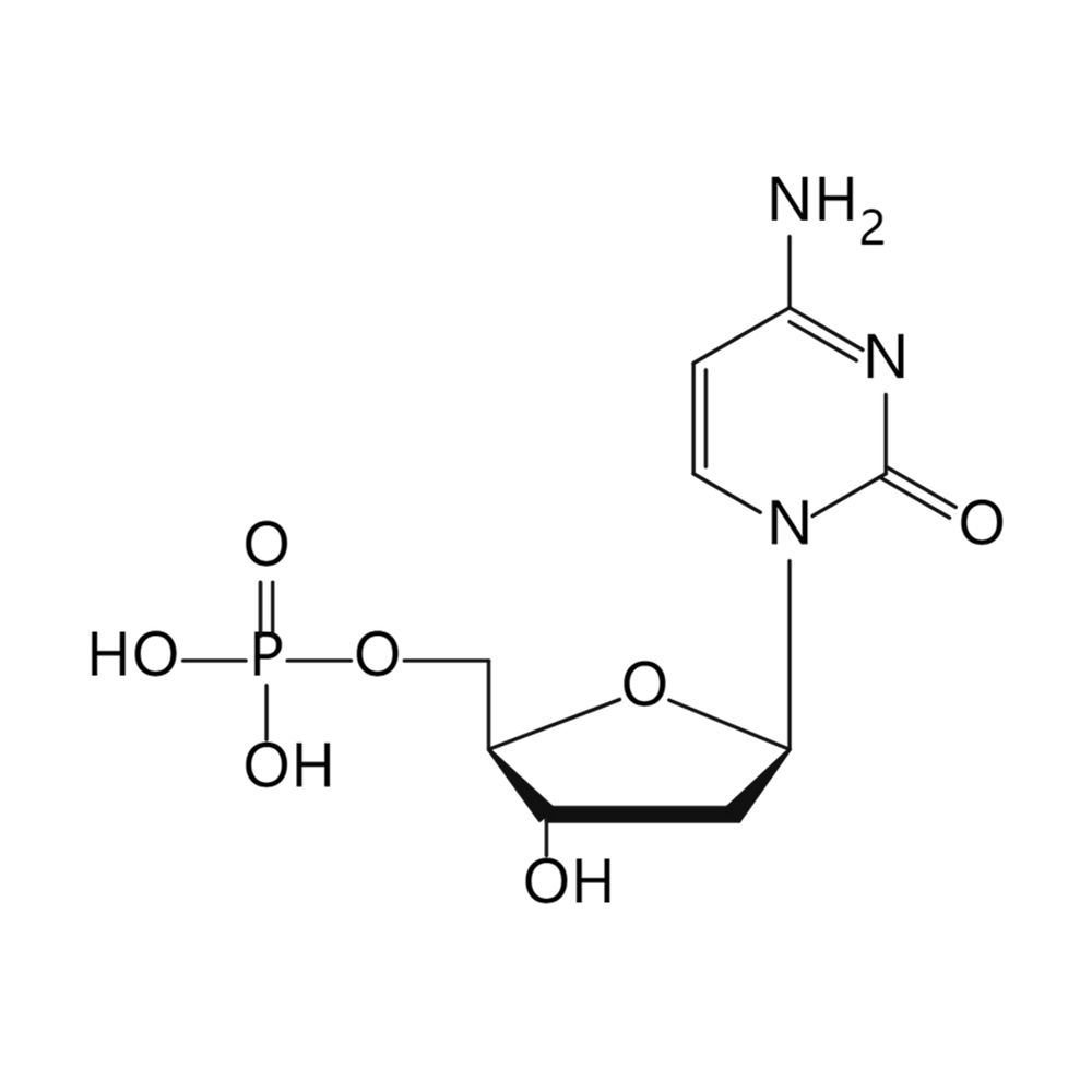 2’-脱氧胞苷酸